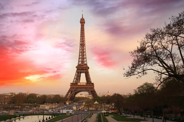 Відоме Ейфелева вежа з весни дерево, Париж, Франція — стокове фото
