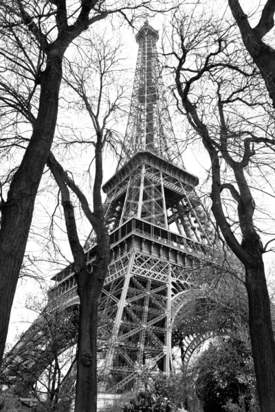 春のツリー、パリ、フランスの有名なエッフェル塔 — ストック写真