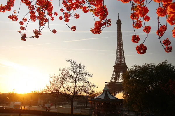 Wieży Eiffla z wiosną drzewa, Paryż, Francja — Zdjęcie stockowe