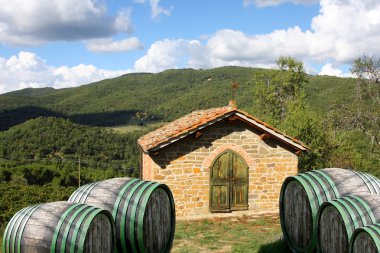 Vineyard in chianti, Toskana, İtalya