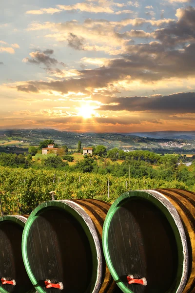Vineyard in chianti, Toskana, İtalya — Stok fotoğraf