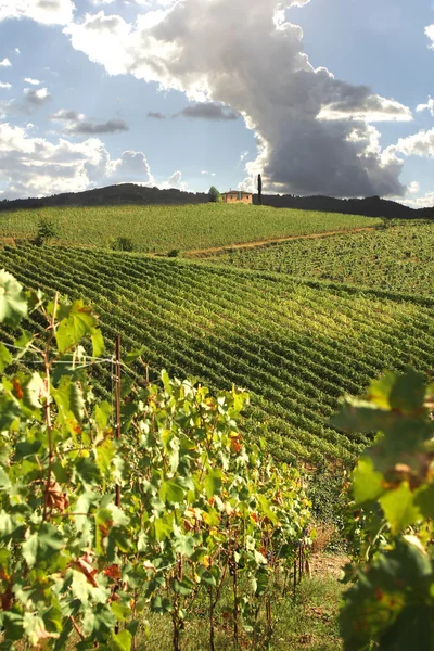 齐颜蒂葡萄园景观的托斯卡纳 — 图库照片