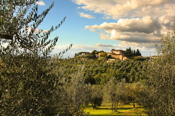 Vingård i chianti, Toscana, Italien — Stockfoto
