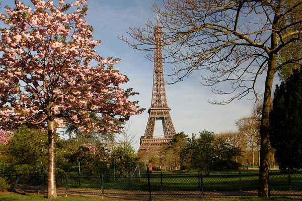 Turnul Eiffel — Fotografie, imagine de stoc