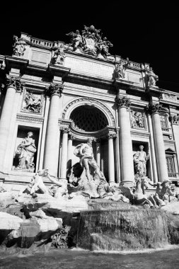 Roma İtalya fontana di trevi ile