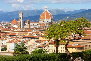 Florence cathedral,Tuscany, Italy clipart