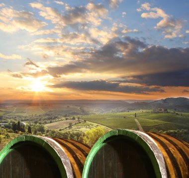 Vineyard chianti, Toskana, İtalya, ünlü peyzaj