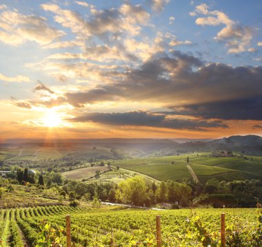 İtalya, Toskana 'daki Chianti üzüm bağı manzarası