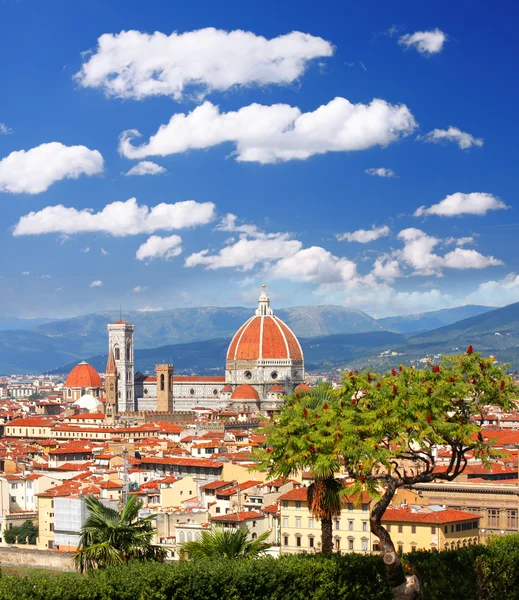 Florence Kathedraal in Toscane, Italië — Stockfoto