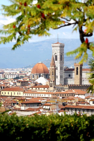 Floransa Katedrali, Toskana, İtalya — Stok fotoğraf