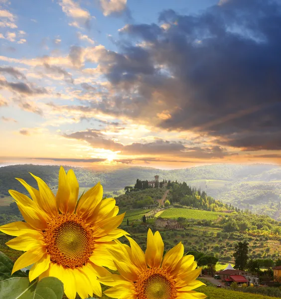 Peisaj de podgorie Chianti cu floarea-soarelui în Toscana, Italia — Fotografie, imagine de stoc
