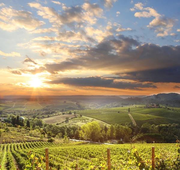 Paisaje del viñedo Chianti en Toscana, Italia —  Fotos de Stock