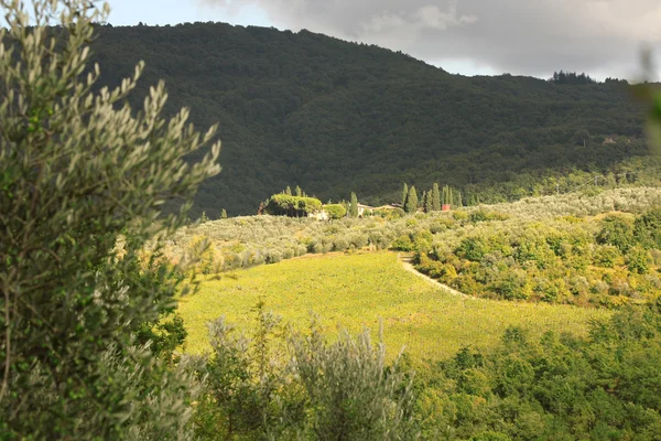 Krajina vinic Chianti v Toskánsku, Itálie — Stock fotografie