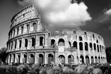 Colosseum in Rome, Italy clipart