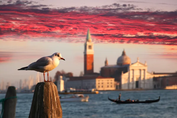 Вид на острів Сан - Джорджо (Венеція, Італія) — стокове фото