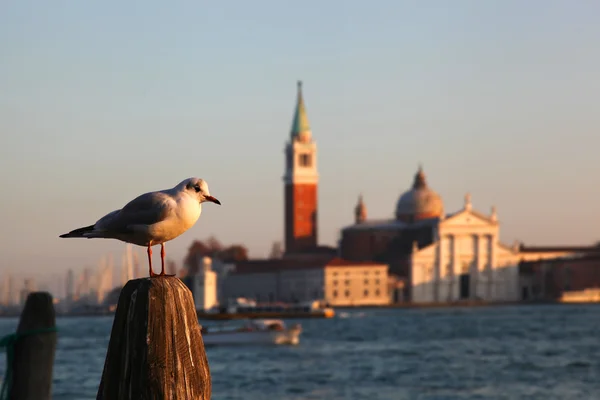 Uitzicht op het eiland San Giorgio, Venetië, Italië — Stockfoto