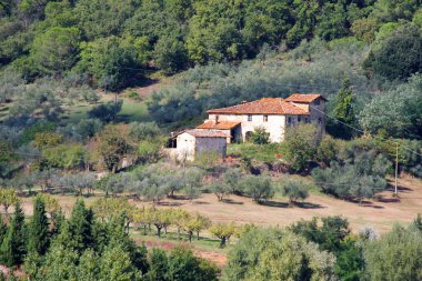 İtalya, Toskana 'daki Chianti üzüm bağı manzarası