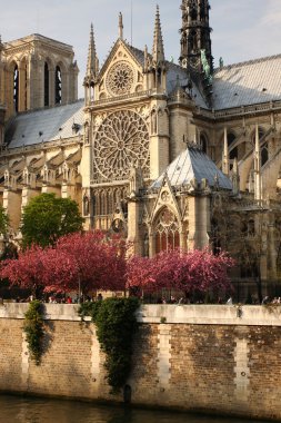 Paris, notre dame Katedrali, bahar zamanı, Fransa