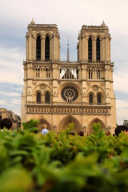 Paris, notre dame Katedrali, bahar zamanı, Fransa