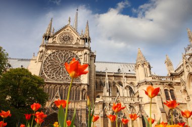 Paris, notre dame Katedrali, bahar zamanı, Fransa