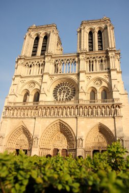 Paris, notre dame Katedrali, bahar zamanı, Fransa