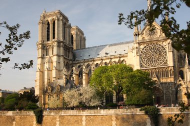 Paris, notre dame Katedrali, bahar zamanı, Fransa