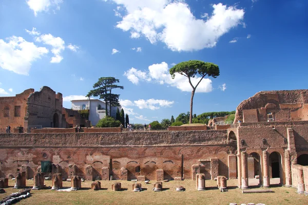 Forumul Romanum din Roma — Fotografie, imagine de stoc