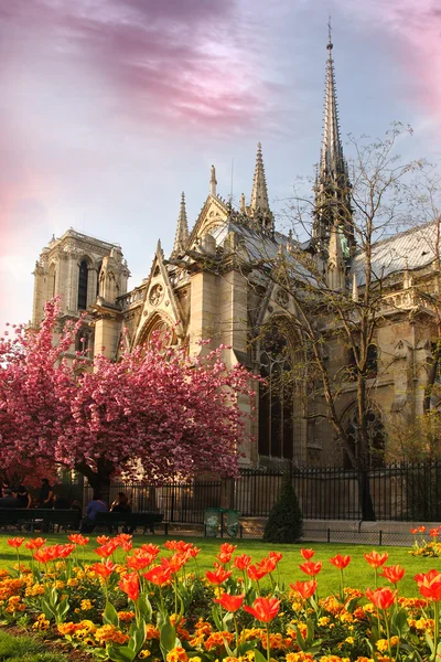 Párizs, Notre Dame katedrálistól, a tavaszi idő, Franciaország — Stock Fotó