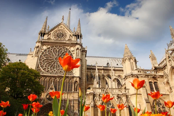 Paris, notre dame kathedraal in de lentetijd, Frankrijk — Stockfoto