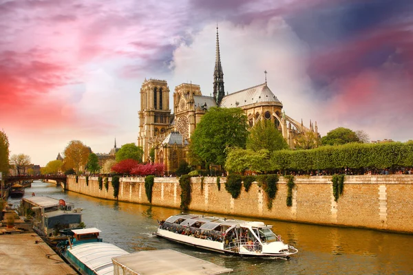 Paříž, katedrála notre dame v jarním období, Francie — Stock fotografie