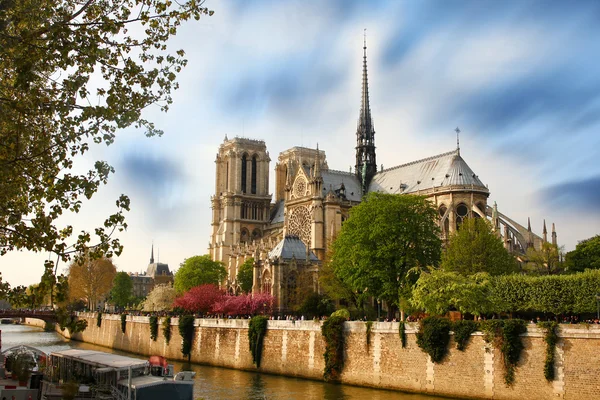 Paris, собору Паризької Богоматері у весняний час, Франція — стокове фото