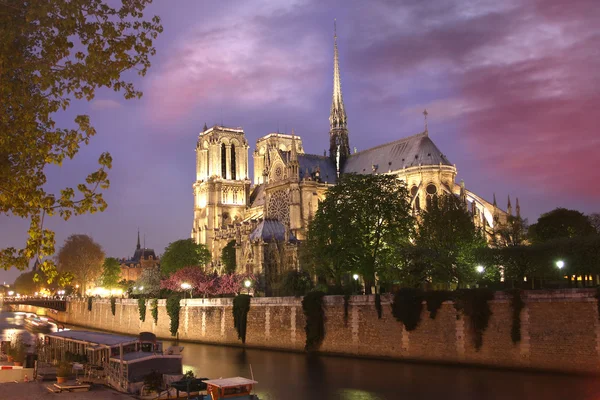 Paris, Kathedrale Notre Dame im Frühling, Frankreich — Stockfoto