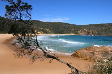 Steamers beach in Booderee National Park. Jervis Bay. Australia clipart