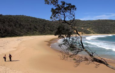 Steamers beach in Booderee National Park. Jervis Bay. Australia clipart