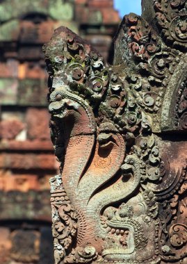 .banteay srei Tapınağı oyma taş. Angkor. Siem reap, Kamboçya.