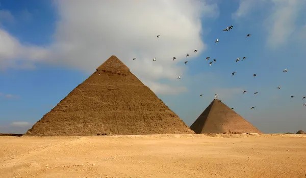 Ägyptische Pyramiden und Vögel — Stockfoto