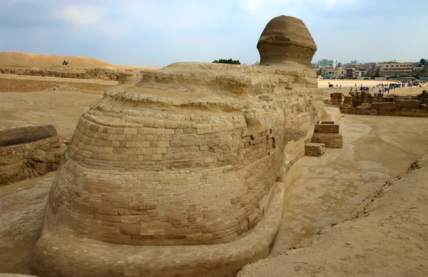 Visão traseira da esfinge ao lado de pirâmides, Egito — Fotografia de Stock