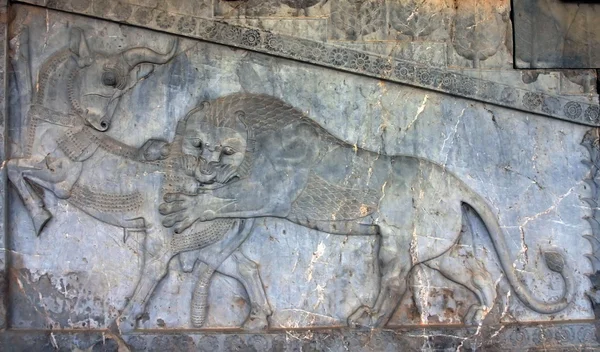 Oude bas-reliëfs van persepolis, iran — Stockfoto