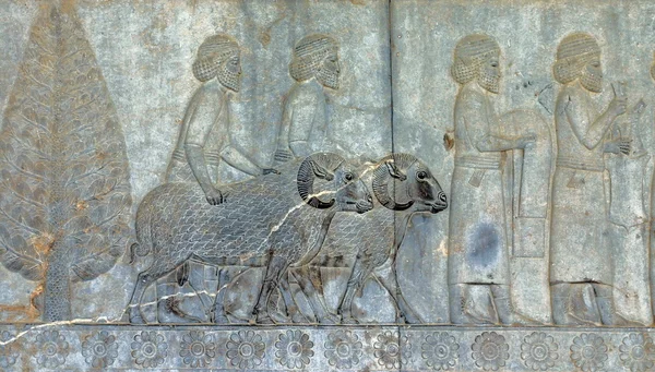 Antichi bassorilievi di Persepolis, Iran — Foto Stock