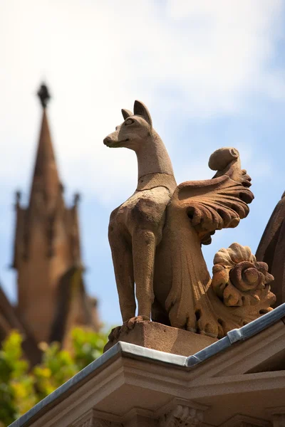 Gargoyle, st. mary's cathedral. Sydney. Australien — Stockfoto