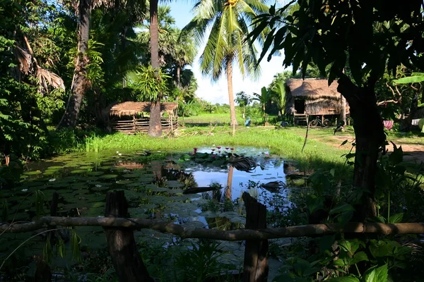 stock image Rural houses in Cambodia. Near Siem Reap.