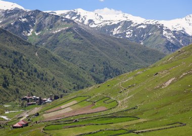 ushguli - Avrupa'nın en yüksek yaşadığı köy. üst svaneti. Gürcistan.