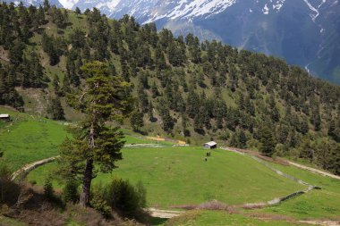 dağlar peyzaj mestia köyü yakınlarında. üst svaneti. Gürcistan