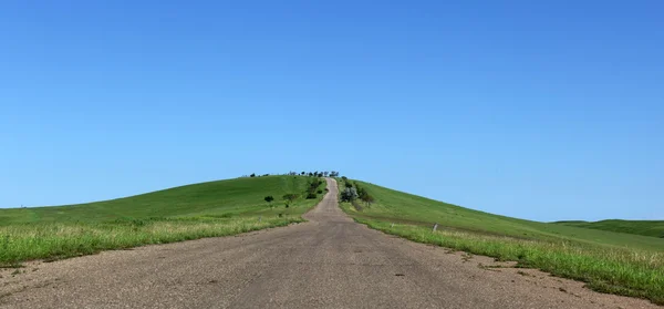 stock image Meadows and country road. Kakheti. Georgia.