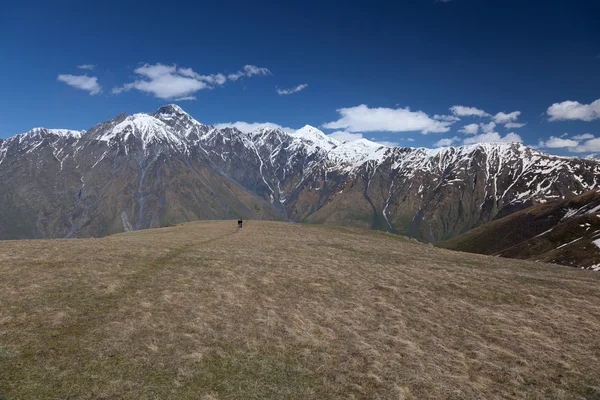 高加索山脉 khevi 区域。格鲁吉亚. — 图库照片