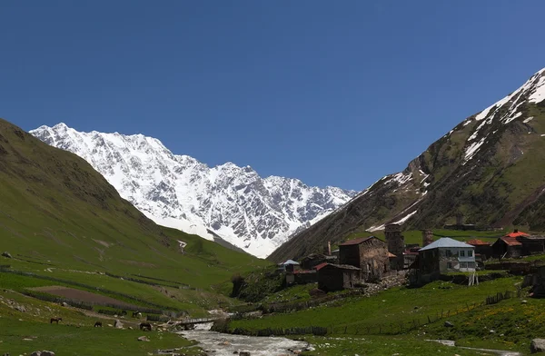 Ushguli - den högsta bebodda byn i Europa. övre Svanetien, Georgien. — Stockfoto