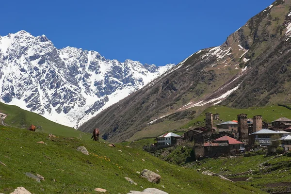 Ushguli - den högsta bebodda byn i Europa. övre Svanetien. Georgien. — Stockfoto