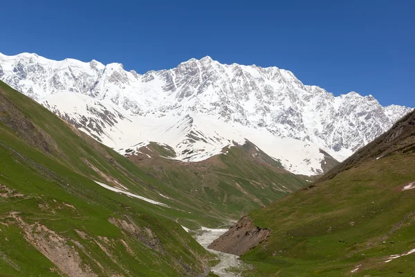 Prados alpinos a los pies del monte. Shkhara. Pueblo Ushguli. Alto Svaneti. Georgia . —  Fotos de Stock