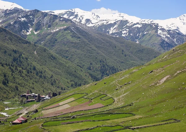 Ushguli - a legmagasabb lakott falu Európában. felső svaneti. Grúzia. — Stock Fotó