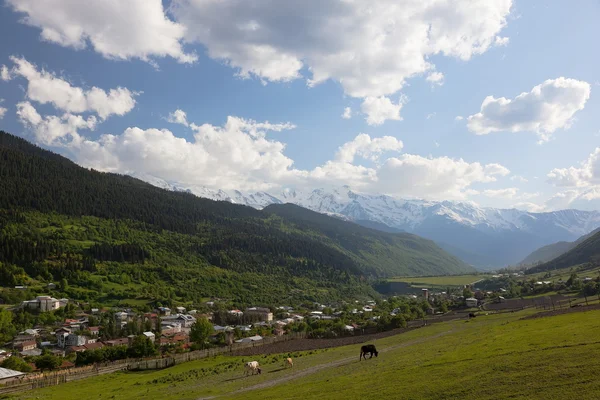 Mestia Valley. Upper Svaneti. Georgia. — Stock Photo, Image